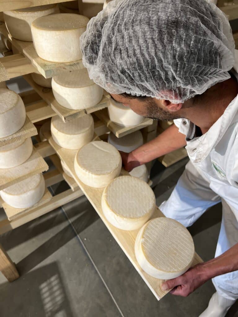 tomme de burdignes