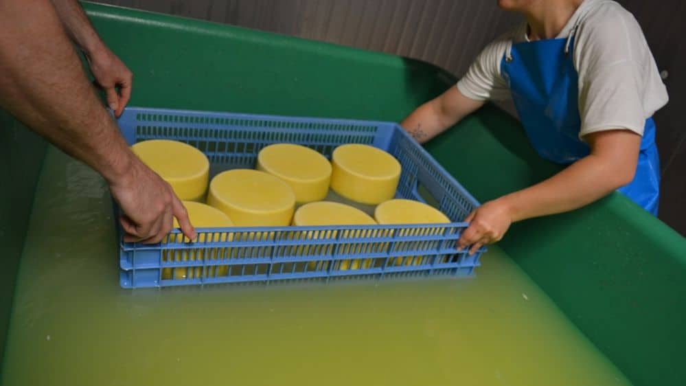 tomme saumure fromagerie brudignes