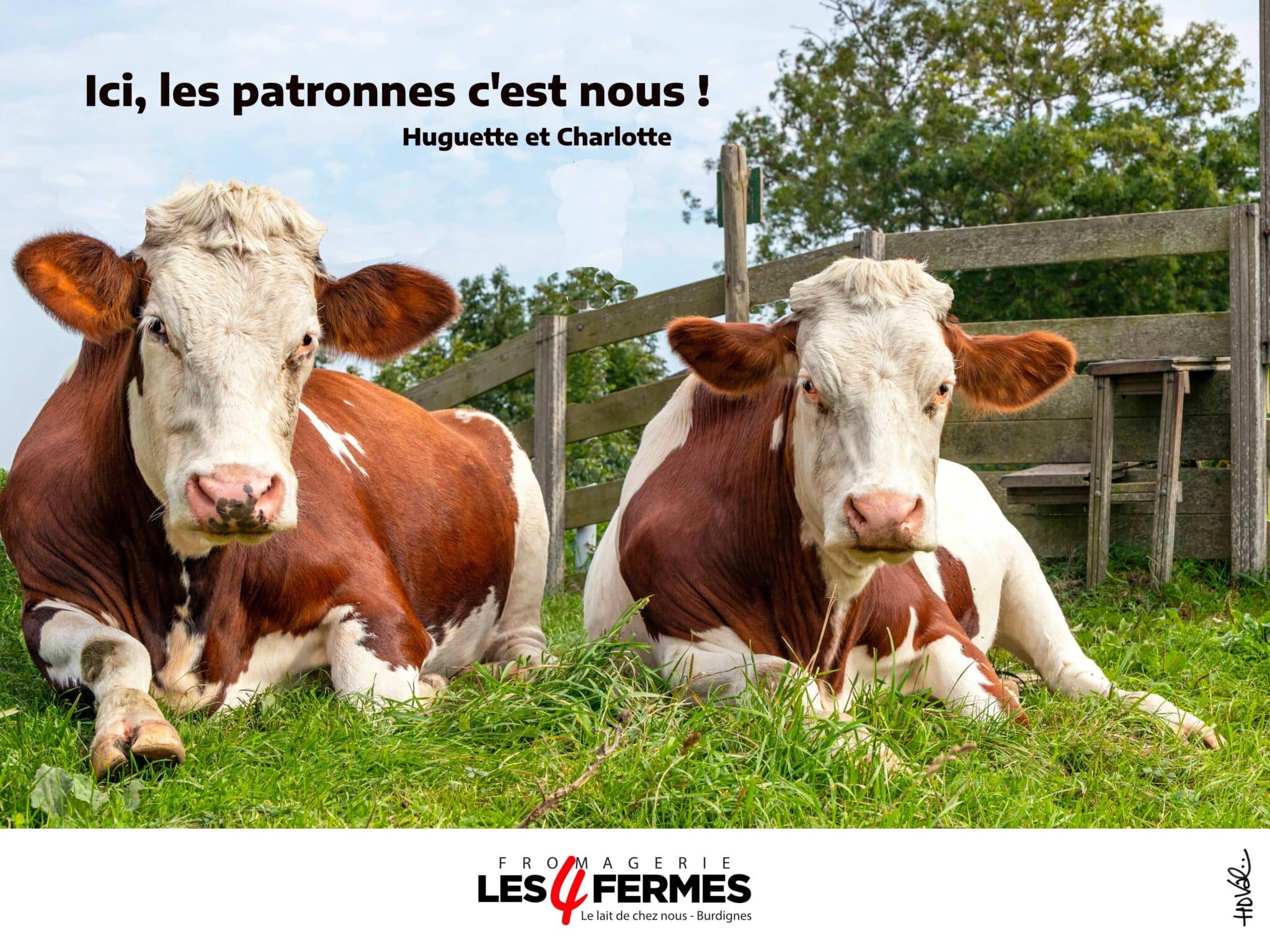 vache montbéliarde burdignes loire 42