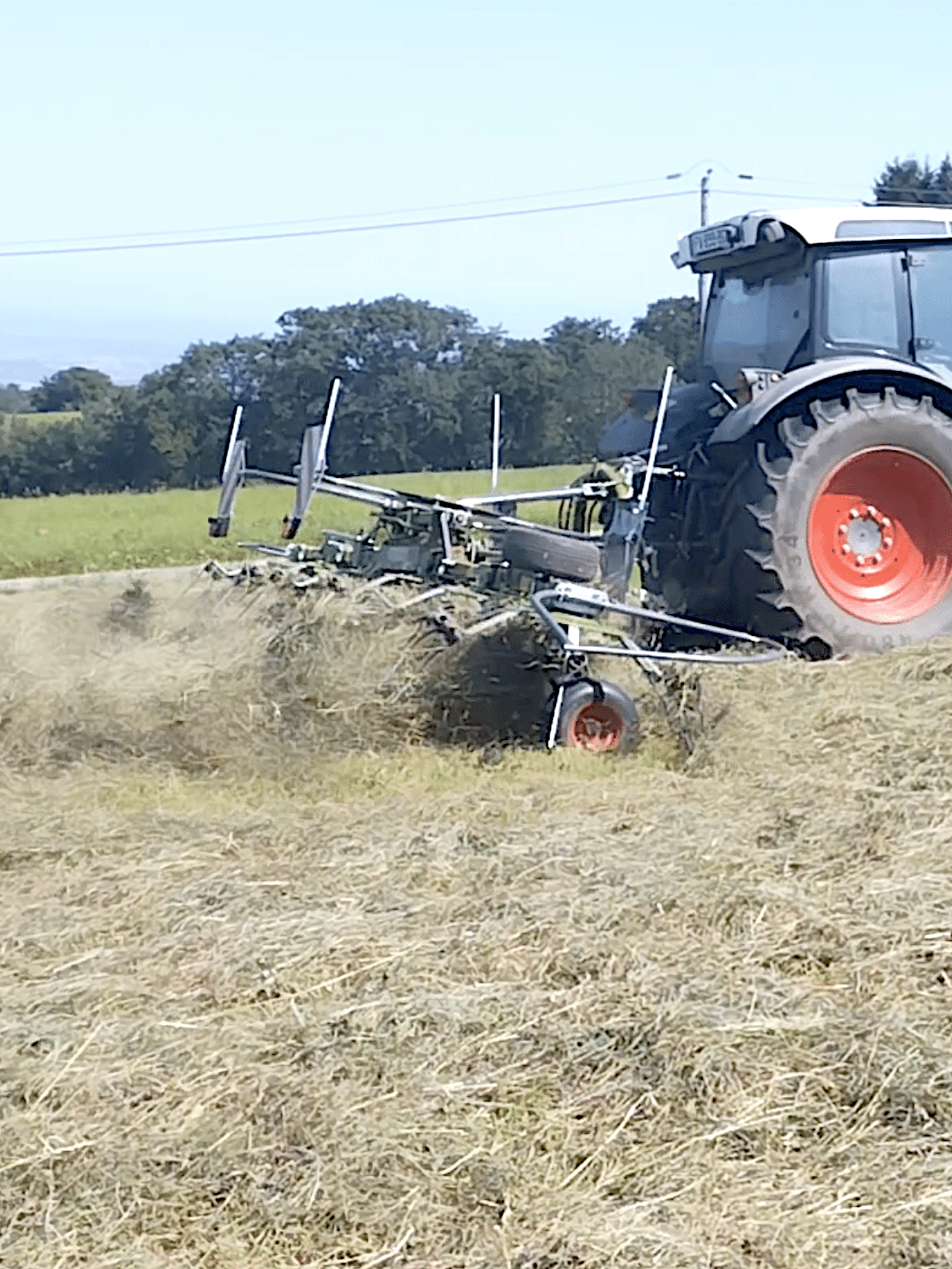 fanage foin burdignes