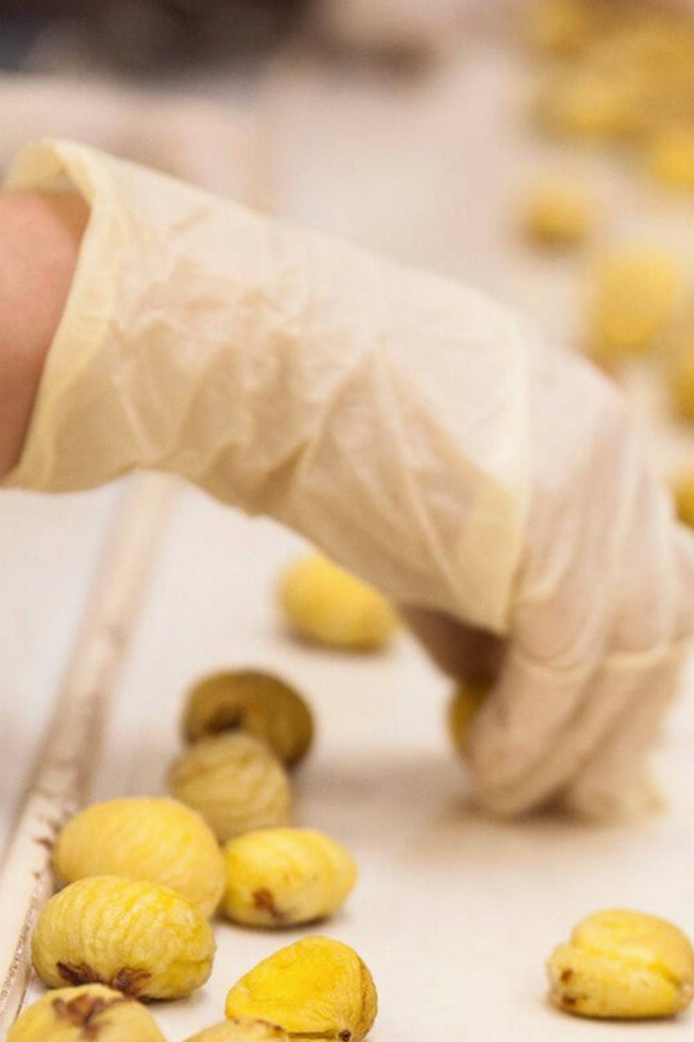 La ferme du chataignier