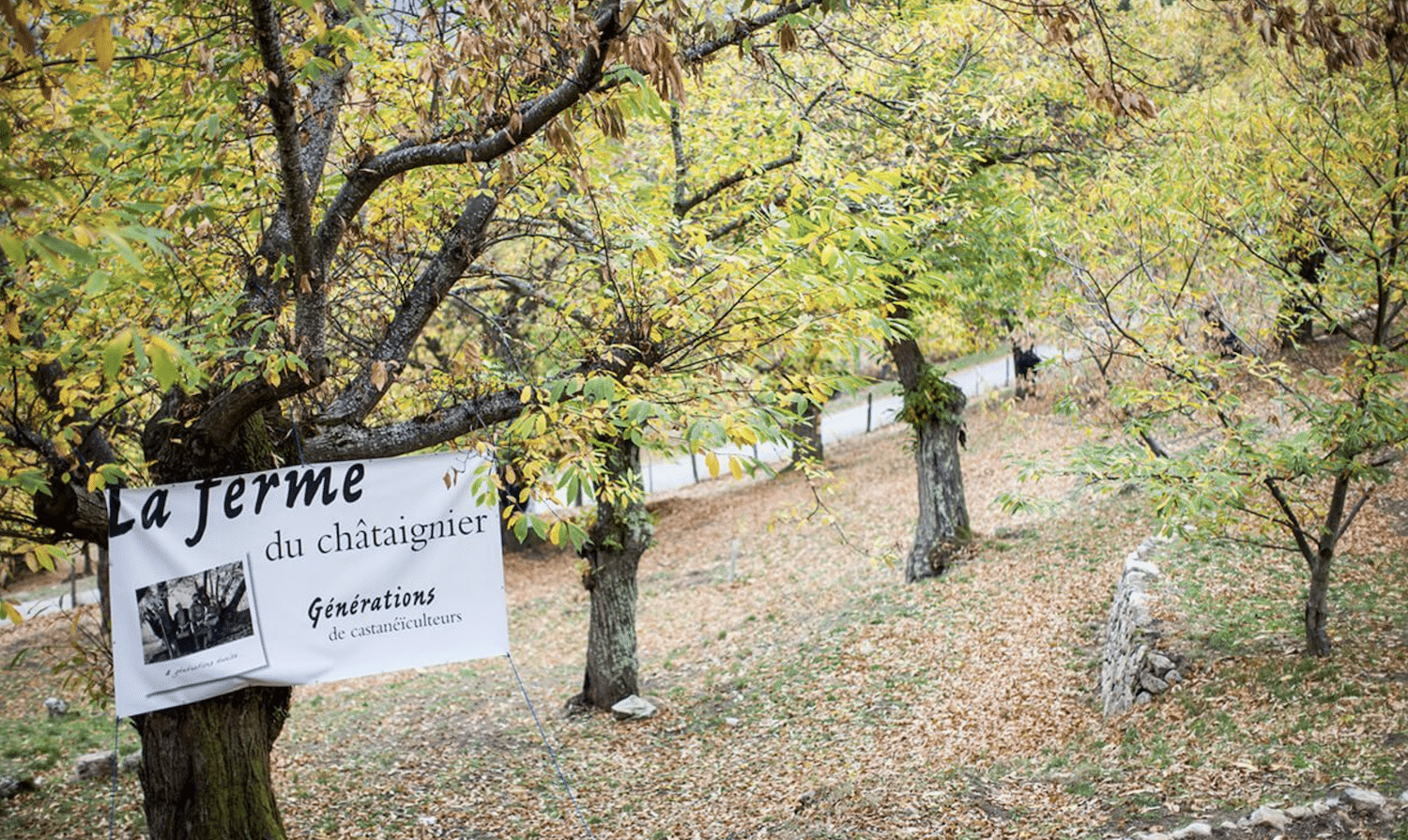 La ferme du chataignier 7