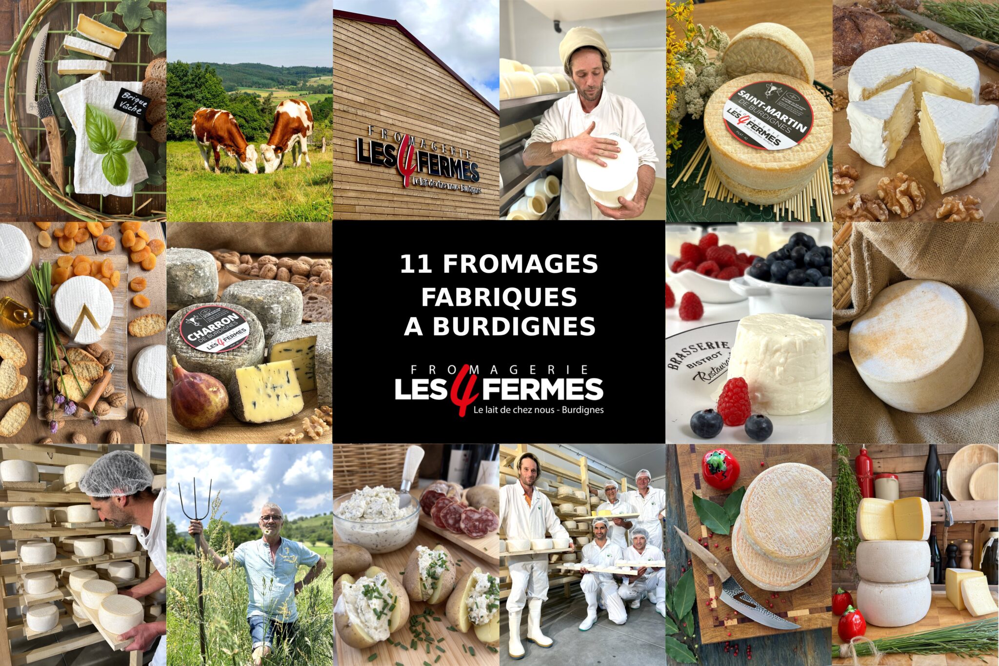 nos 11 fromages de vaches
