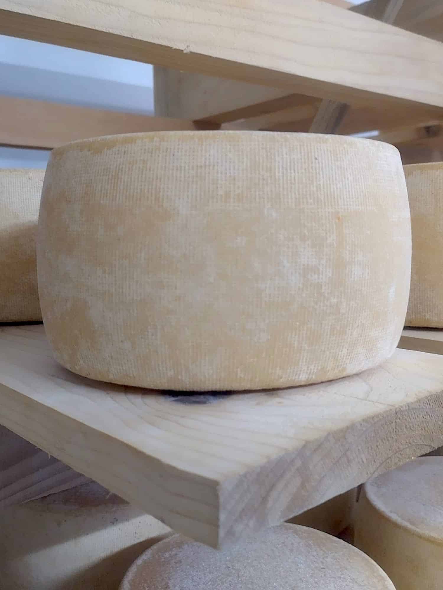 notre Meule du Pilat de la fromagerie les 4 fermes