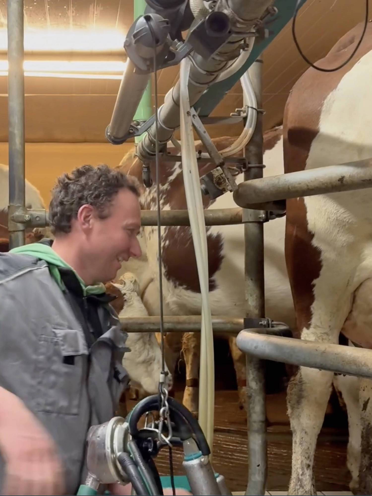 nos vaches, nos fermes et notre lait