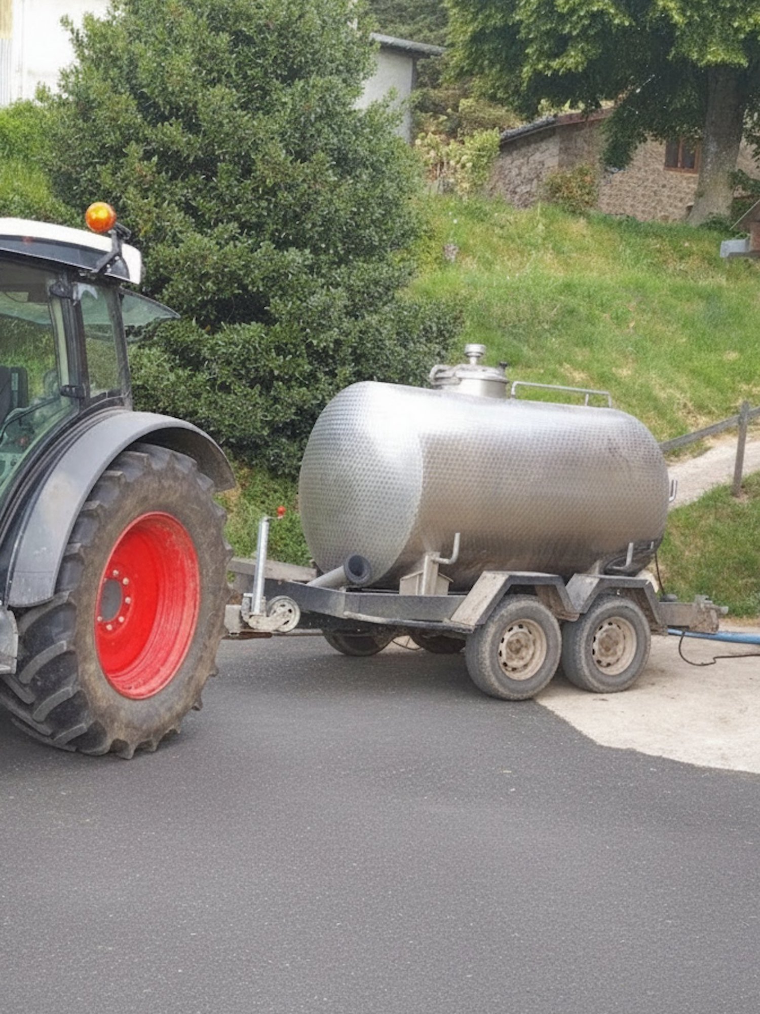 nos vaches, nos fermes et notre lait