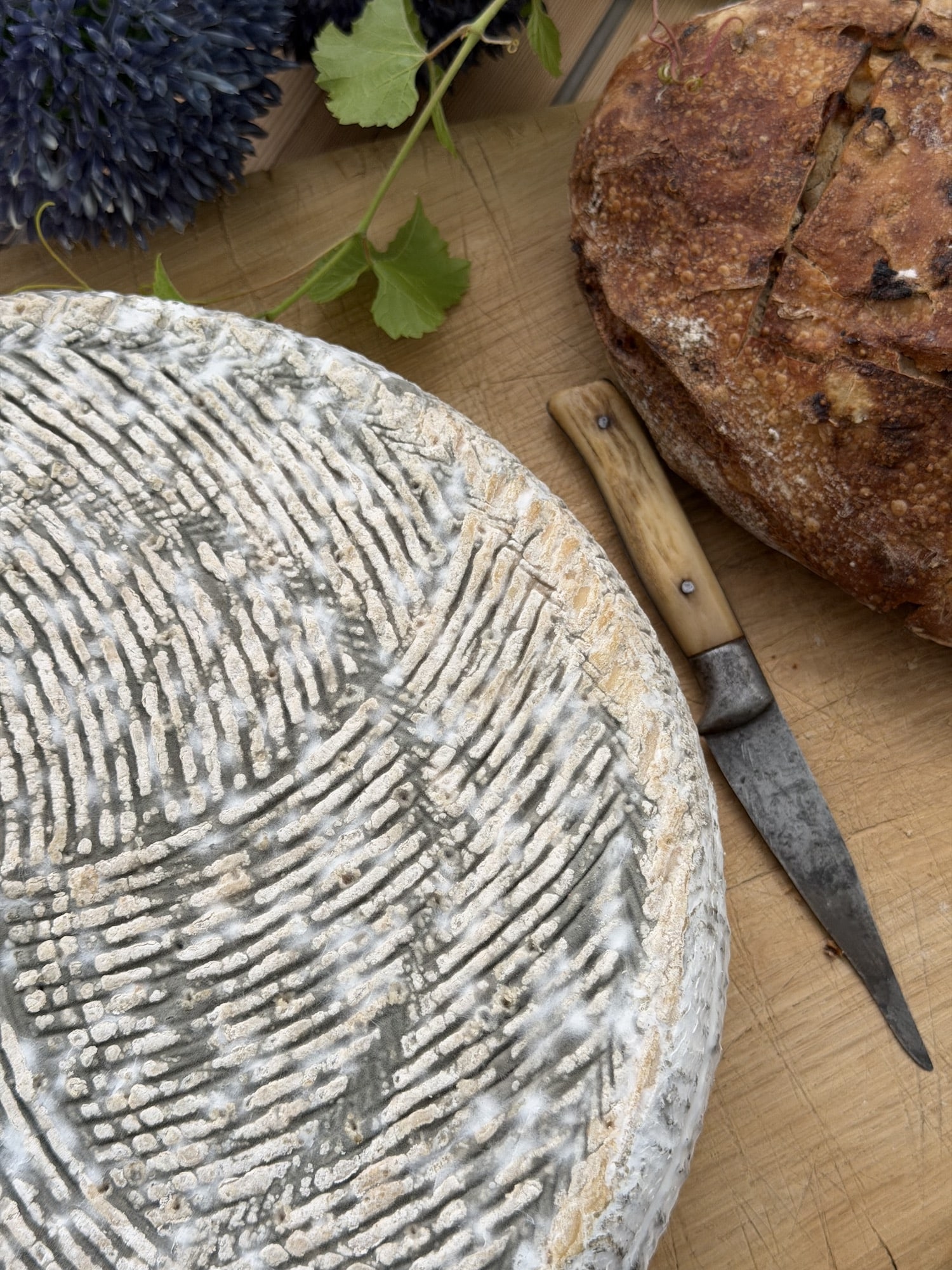 bleuet du pilat de la fromagerie les 4 fermes