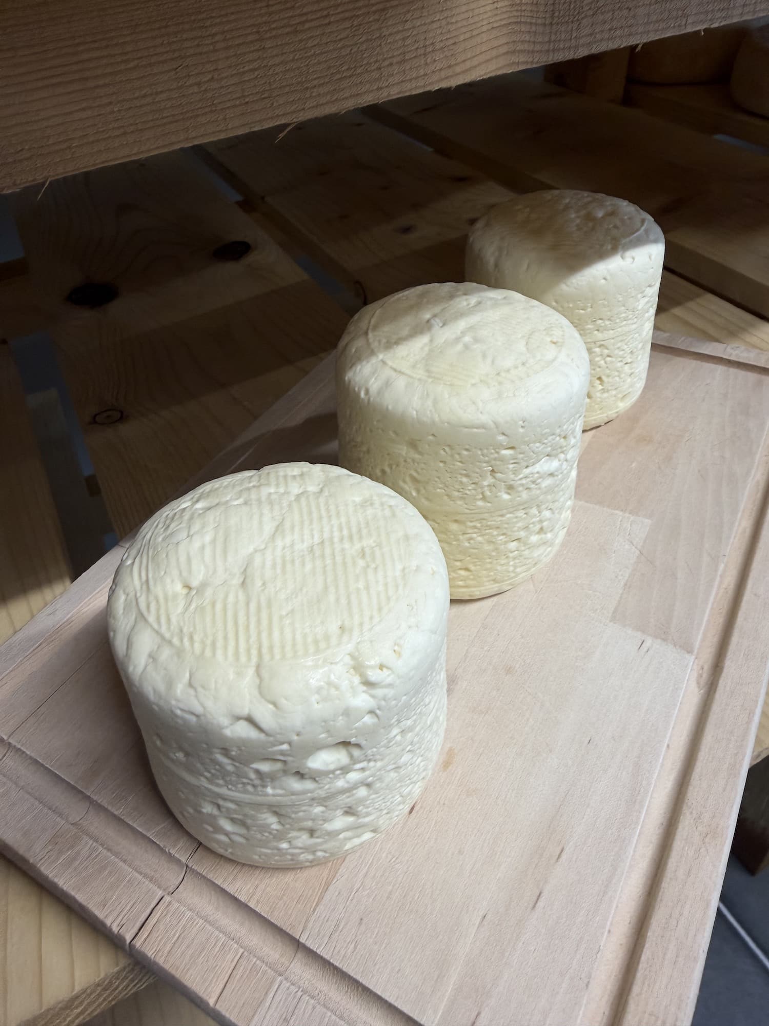 bleuet du pilat de la fromagerie les 4 fermes