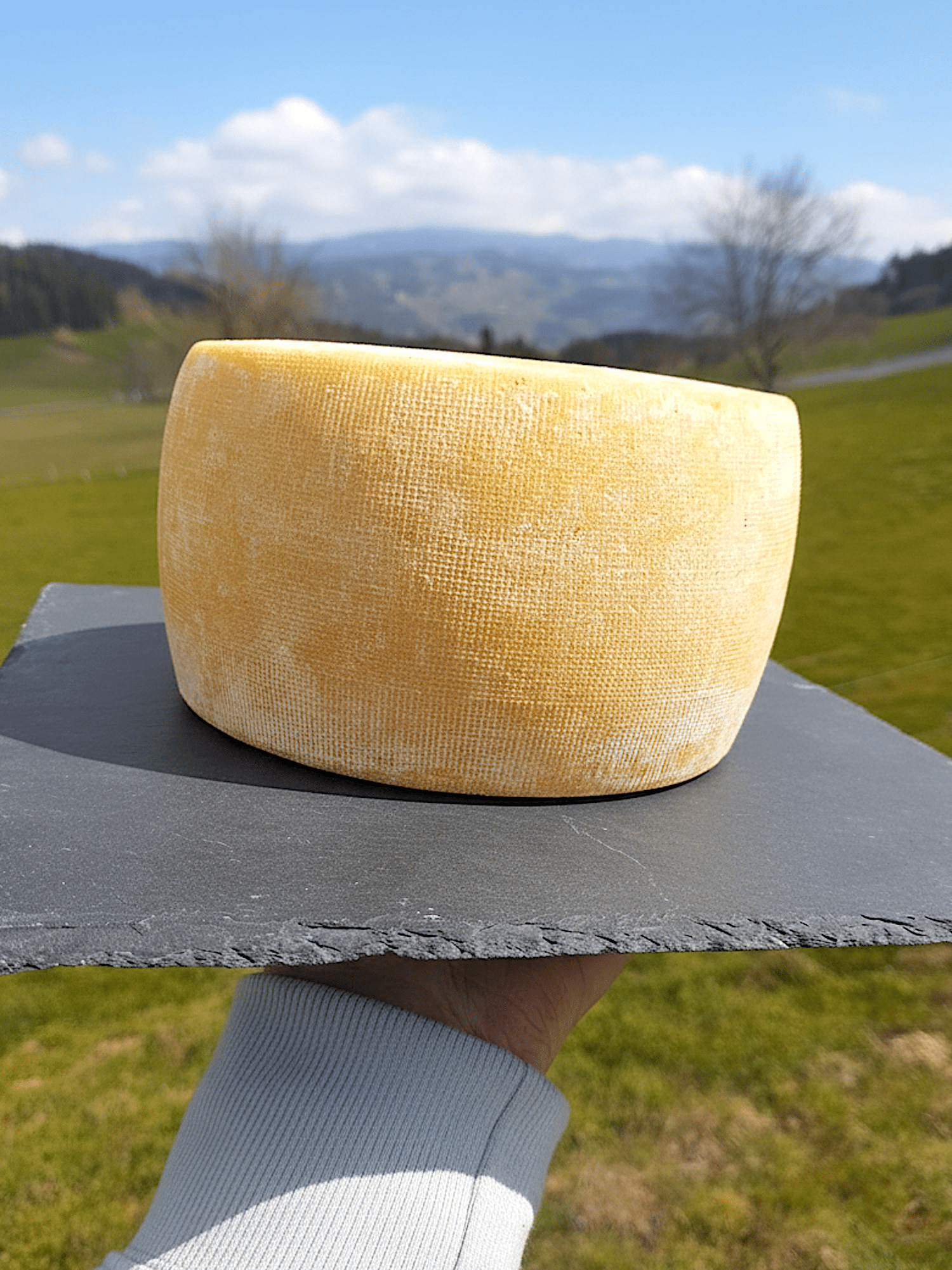 Meule du Pilat Fromagerie les 4 Fermes Notre gruyère à nous