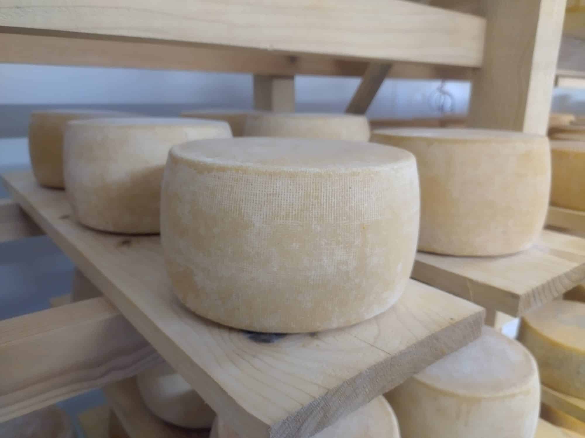 Meule du Pilat Fromagerie les 4 Fermes Notre gruyère à nous