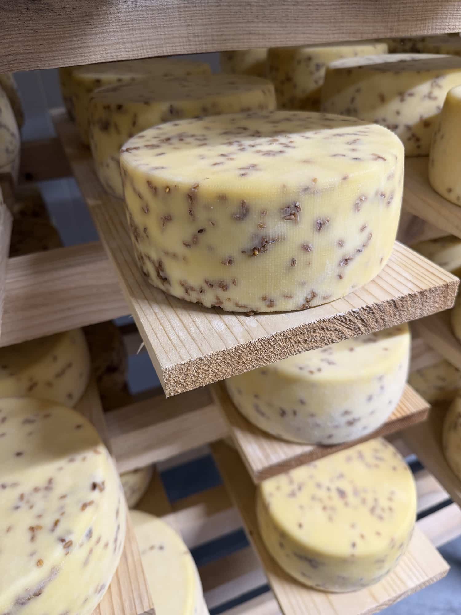 Découvrez la Tomme au Fenugrec, un fromage artisanal à pâte pressée non cuite, aux notes de noix et de noisette. Une tomme savoureuse et fondante.