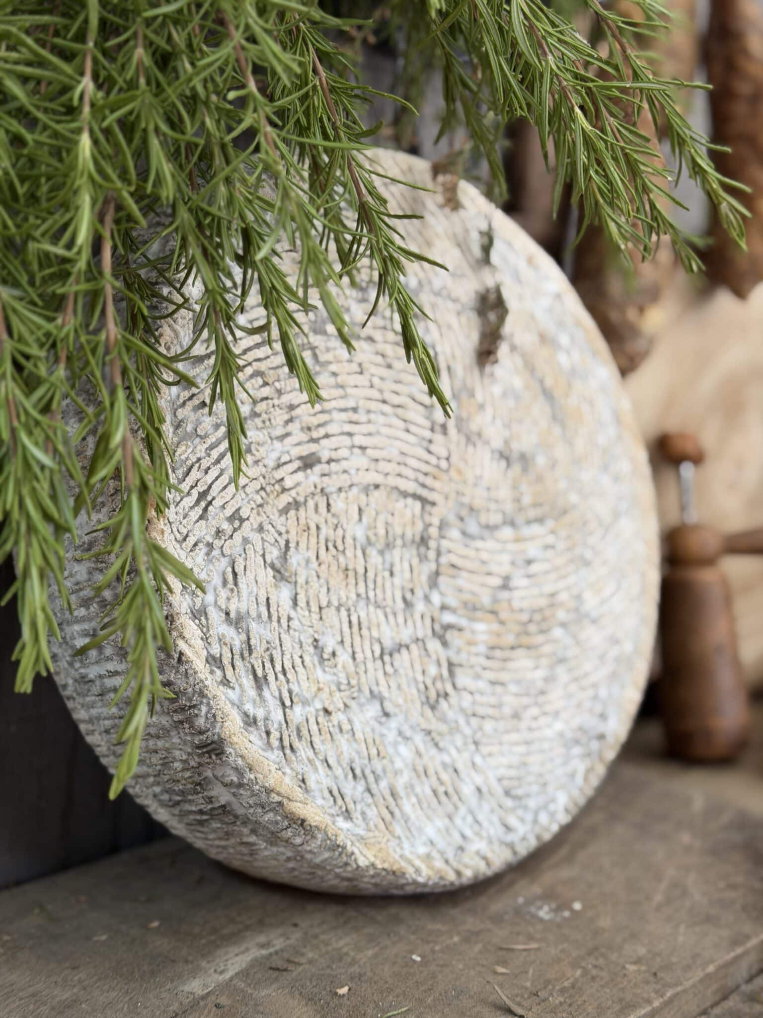 Notre fromage, Bleu Sapin de 6 kg