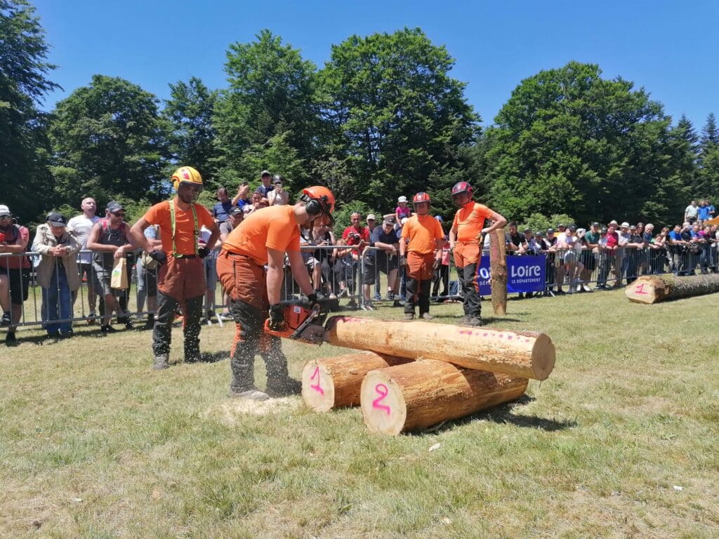 fête de la forêt et du bois avec notre Bleu Sapin