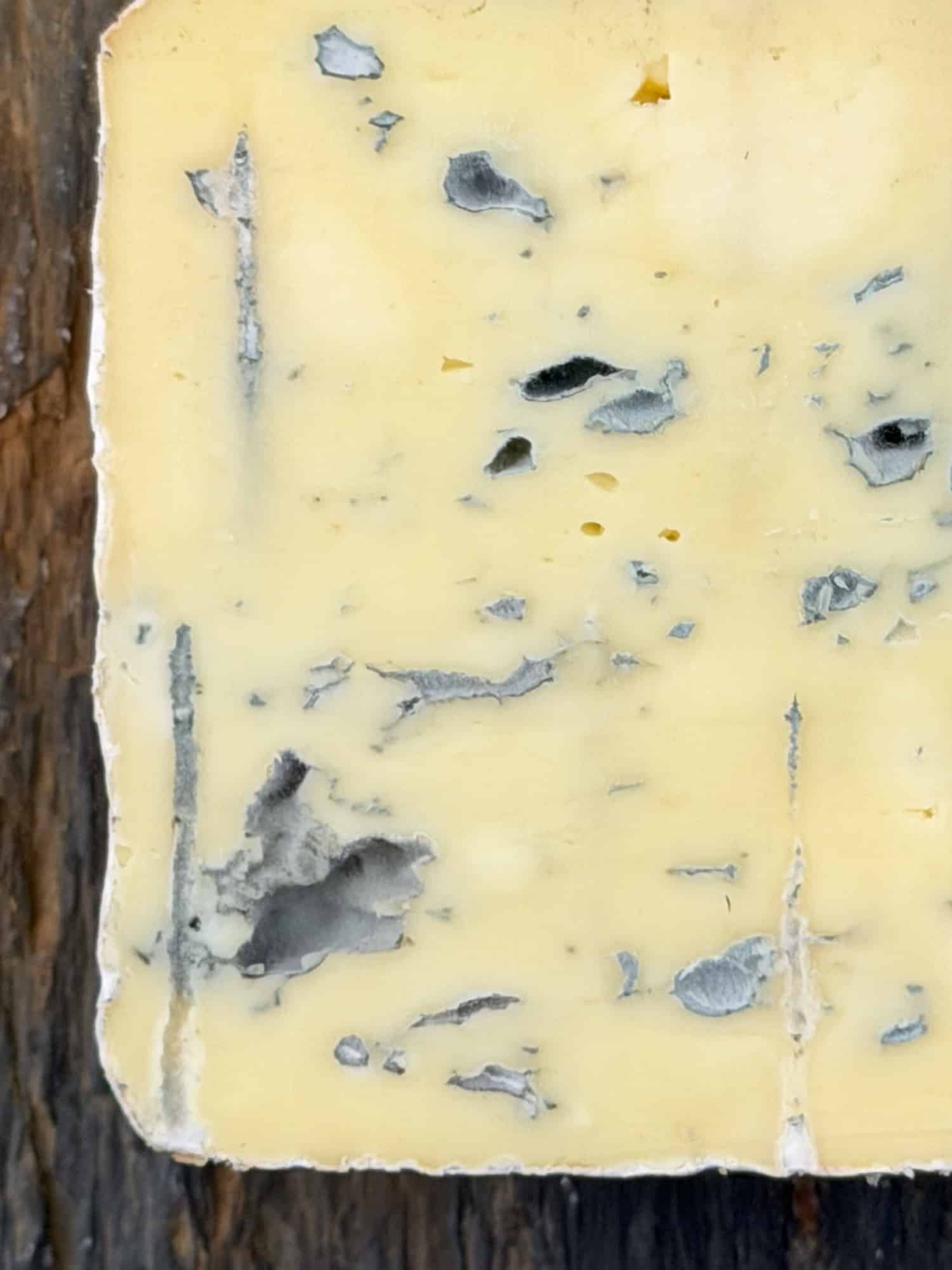 Bleu du Pilat et sa moisissure